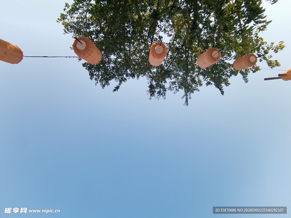 仰拍树上悬挂的多彩装饰物件