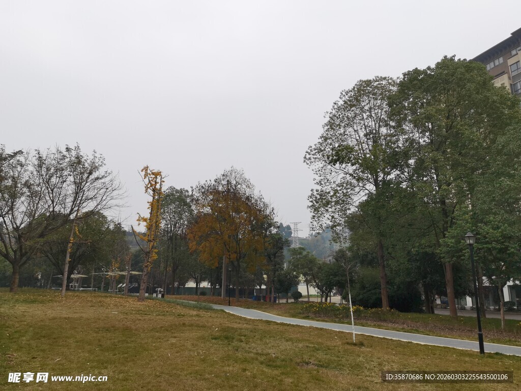 城市公园中的宁静草地景观