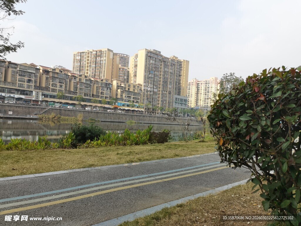 城郊公路旁的高楼景观