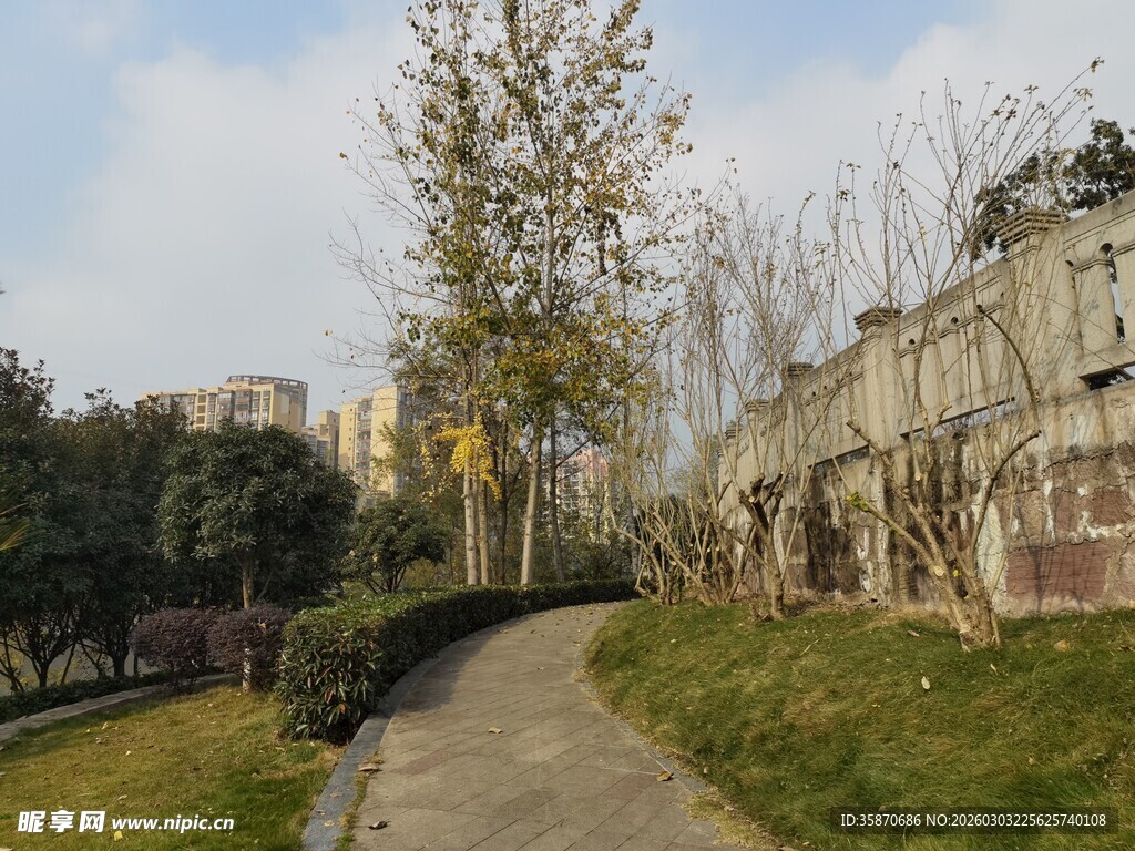 城郊幽静小路秋色宜人