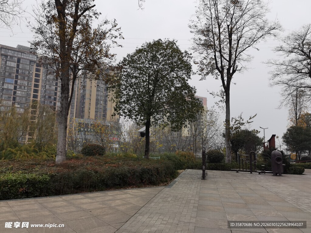 城市公园冬日景观