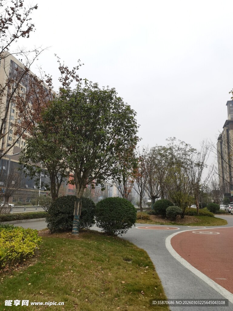 城市中的优美绿化道路