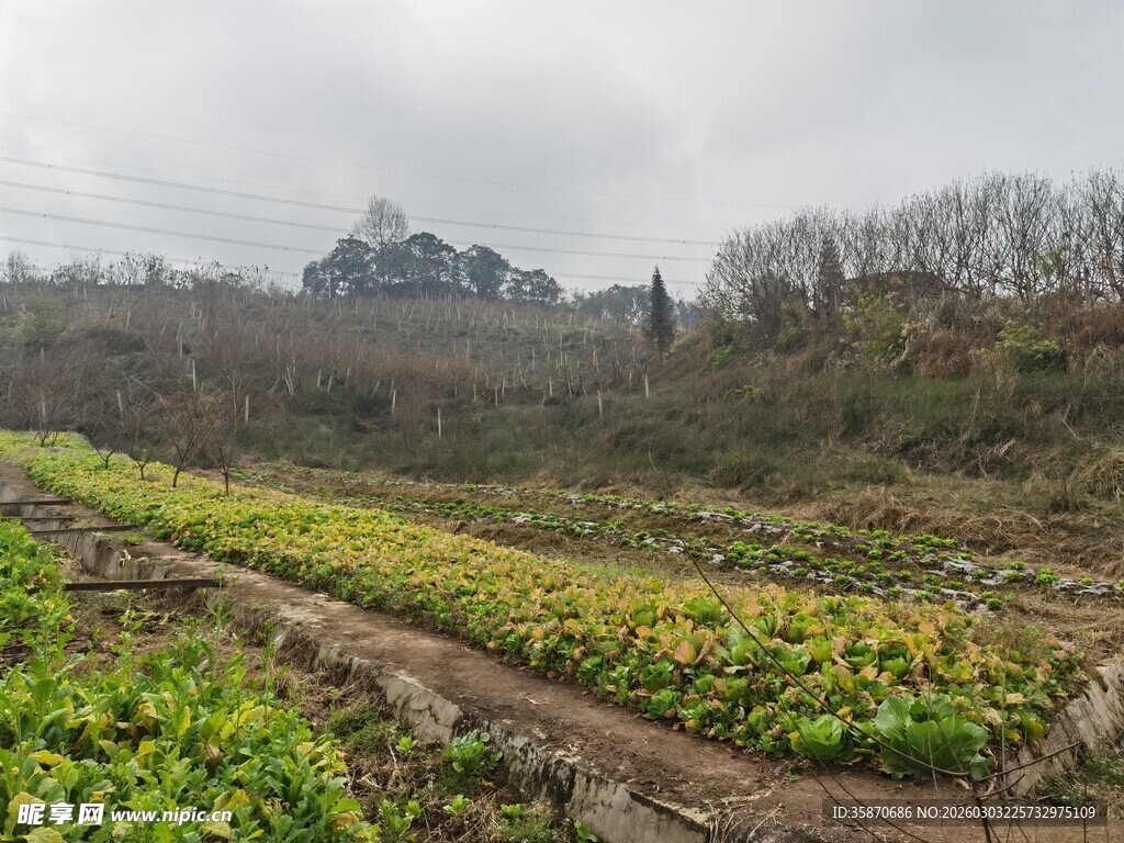 田野间的农田与自然风光