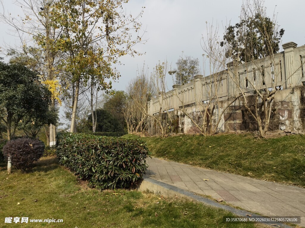 宁静小路旁的绿植与残垣