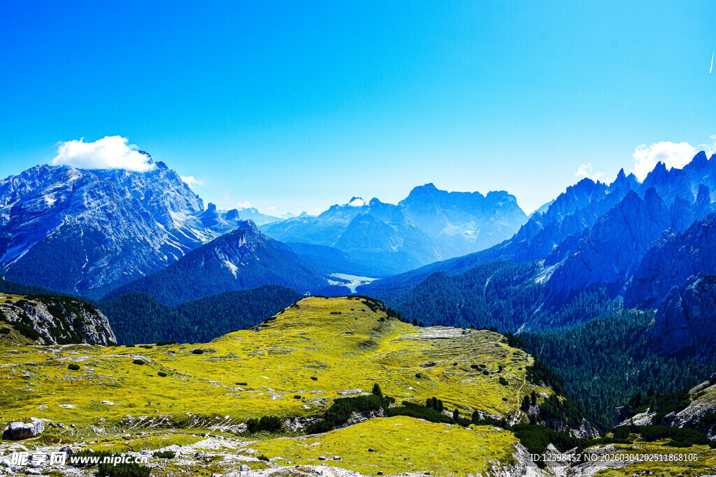 壮丽高山草甸美景