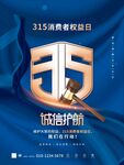 315海报