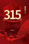315海报