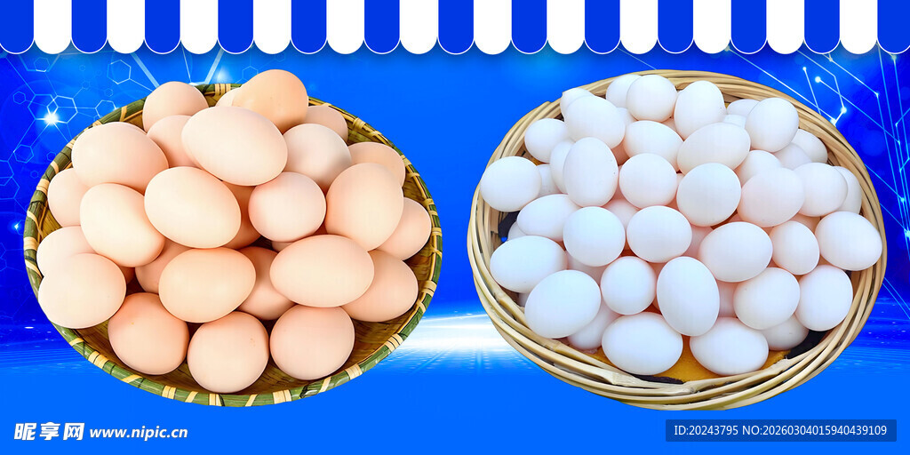 两盘鸡蛋展现新鲜食材