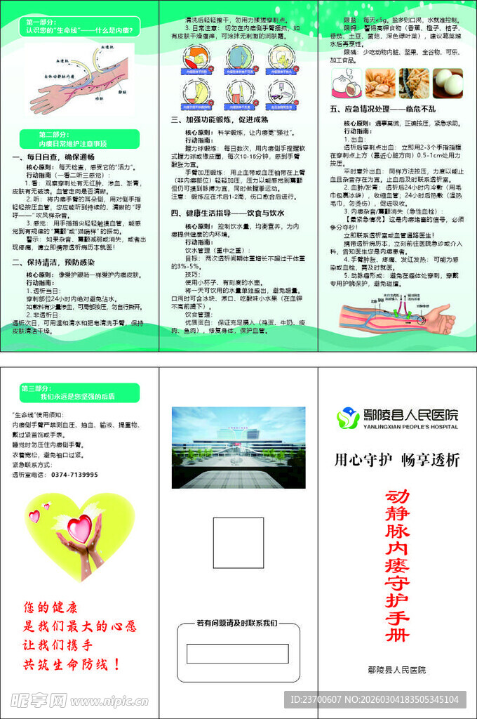 动静脉内瘘守护手册