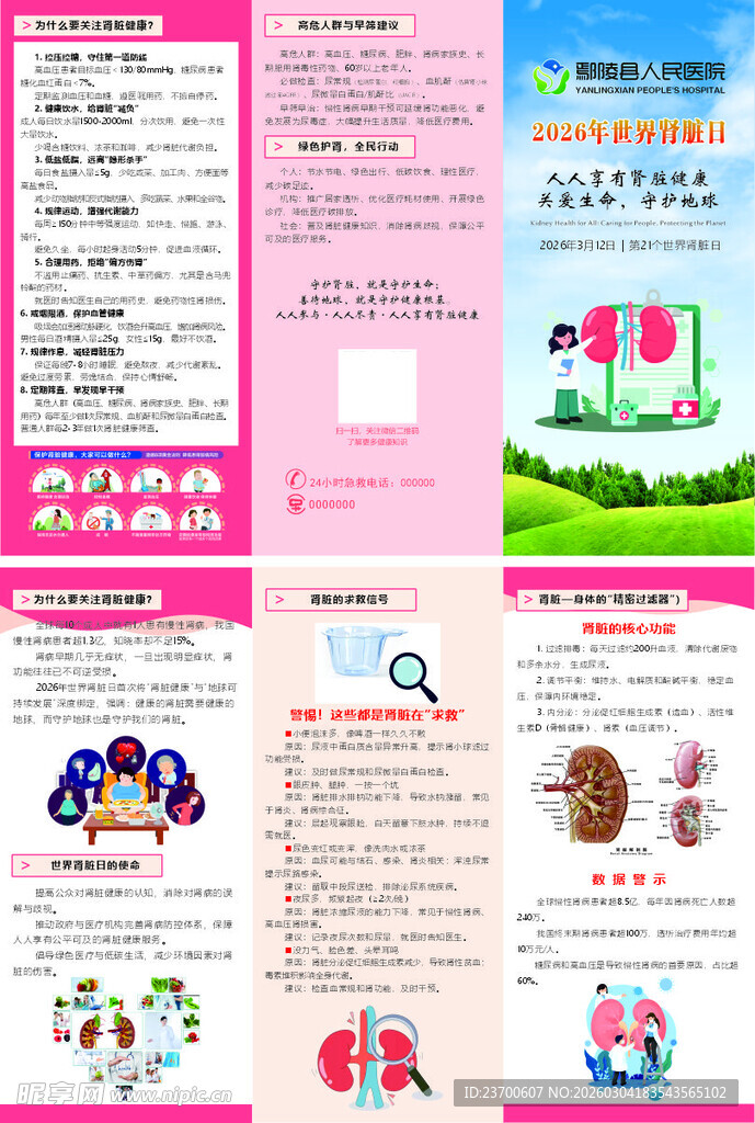 肾脏宣传彩页