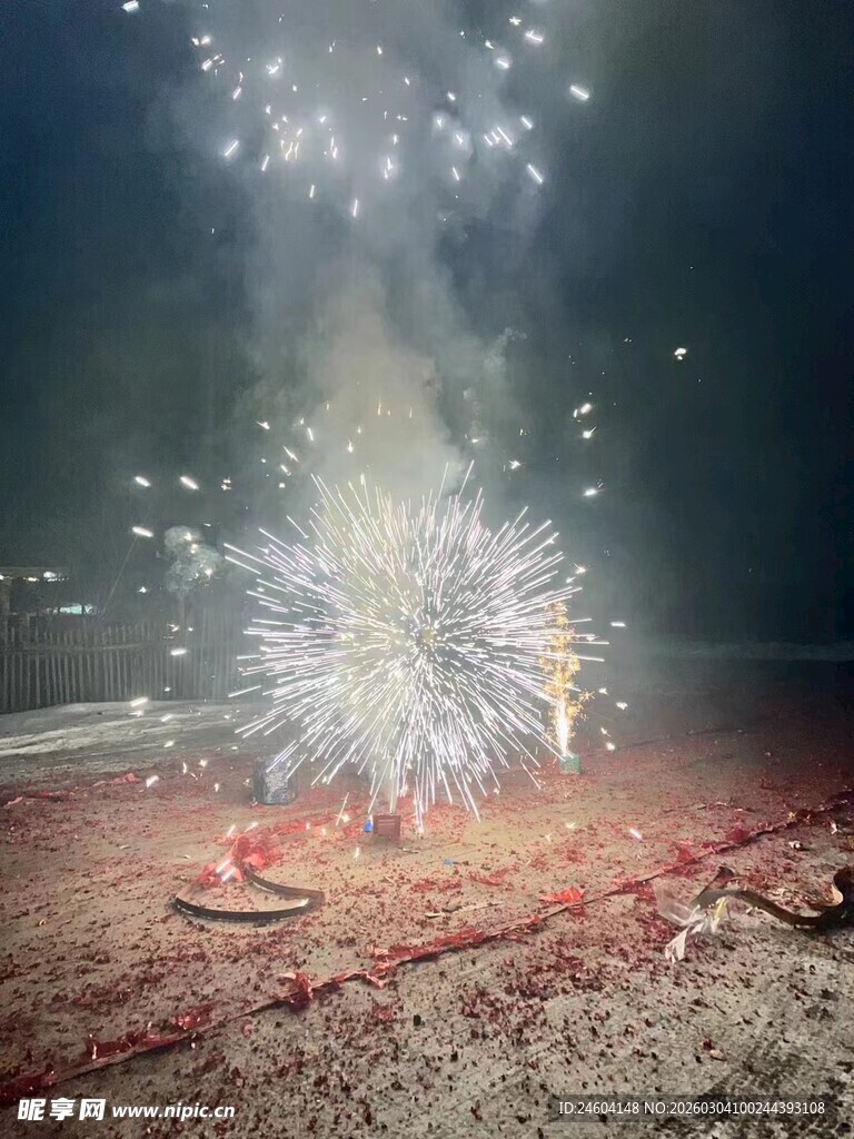 夜空中绚烂绽放的烟花