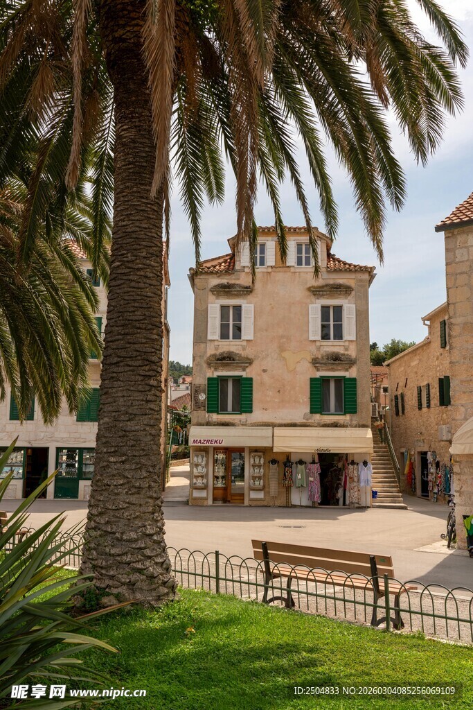 欧式小镇中的棕榈树景观