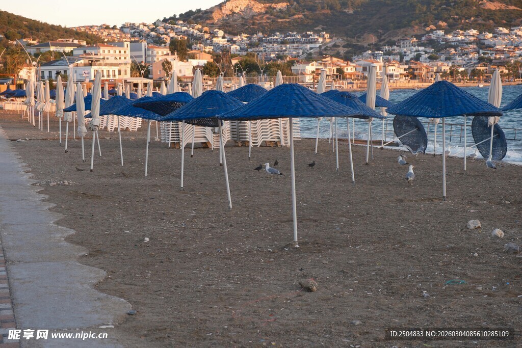 沙滩上的蓝色帐篷阵列