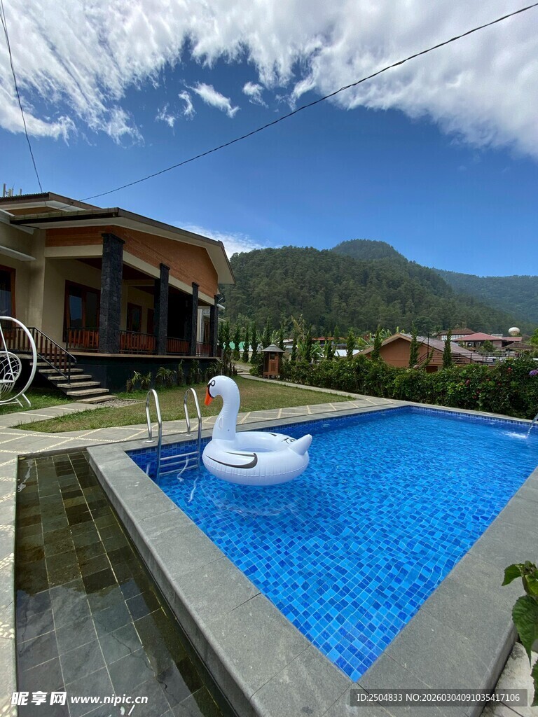 别墅旁的蓝色泳池与天鹅