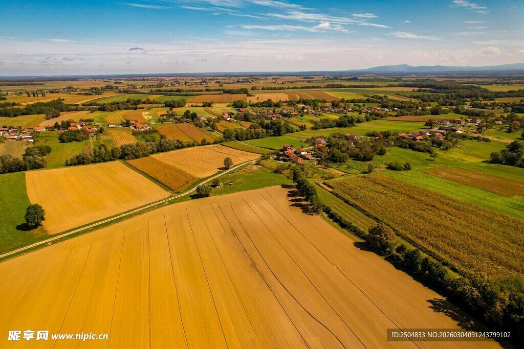 金色田野风光俯瞰图