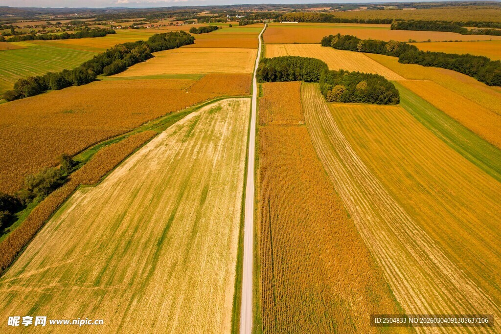 俯瞰广袤多彩农田景观