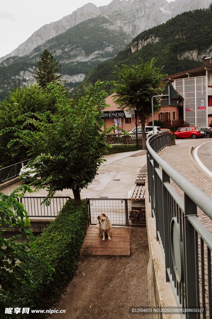 山间小镇的宁静小路