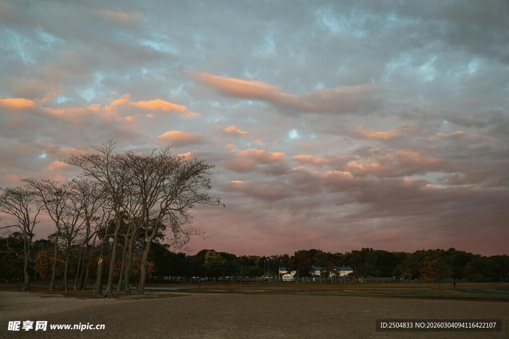 黄昏时分的田野与绚烂云彩