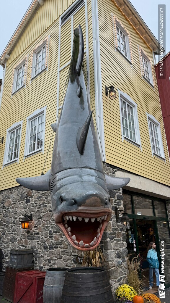 鲨鱼造型建筑外观