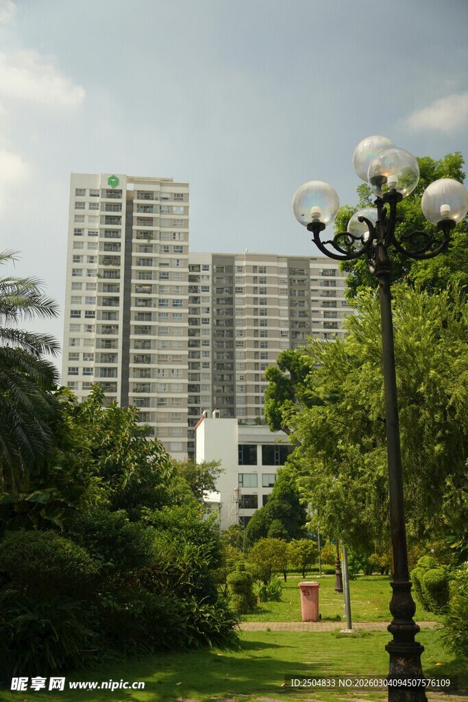 城市公园旁的高楼景观