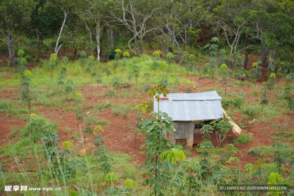 林中木屋 自然静谧之景