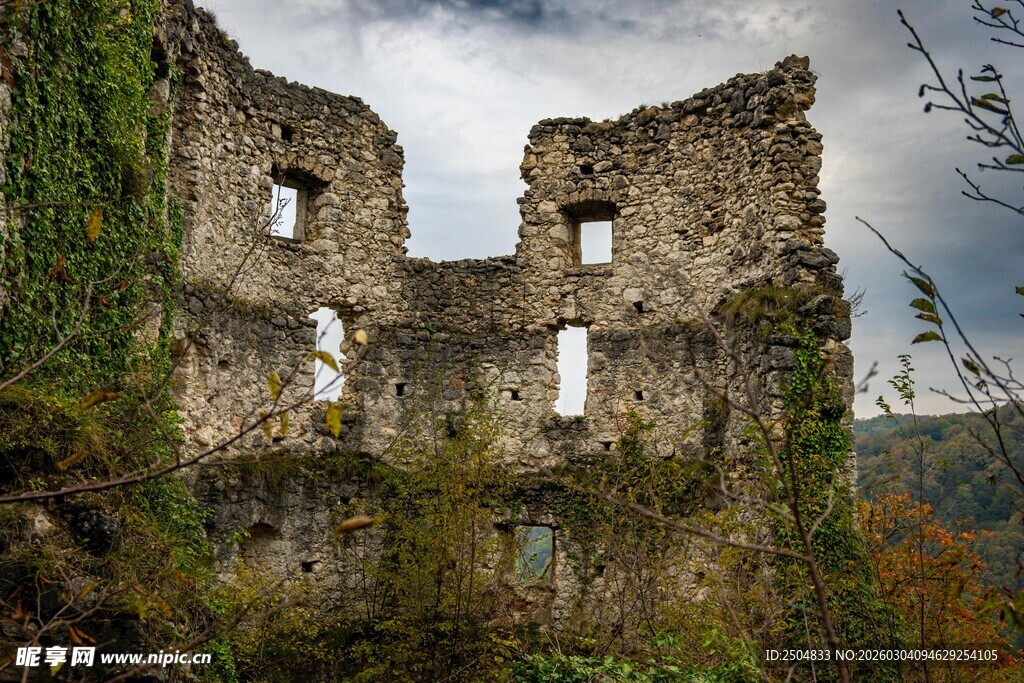 古老废墟 藤蔓缠绕的沧桑