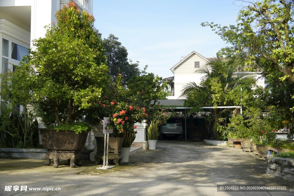 宁静庭院绿树环绕景致