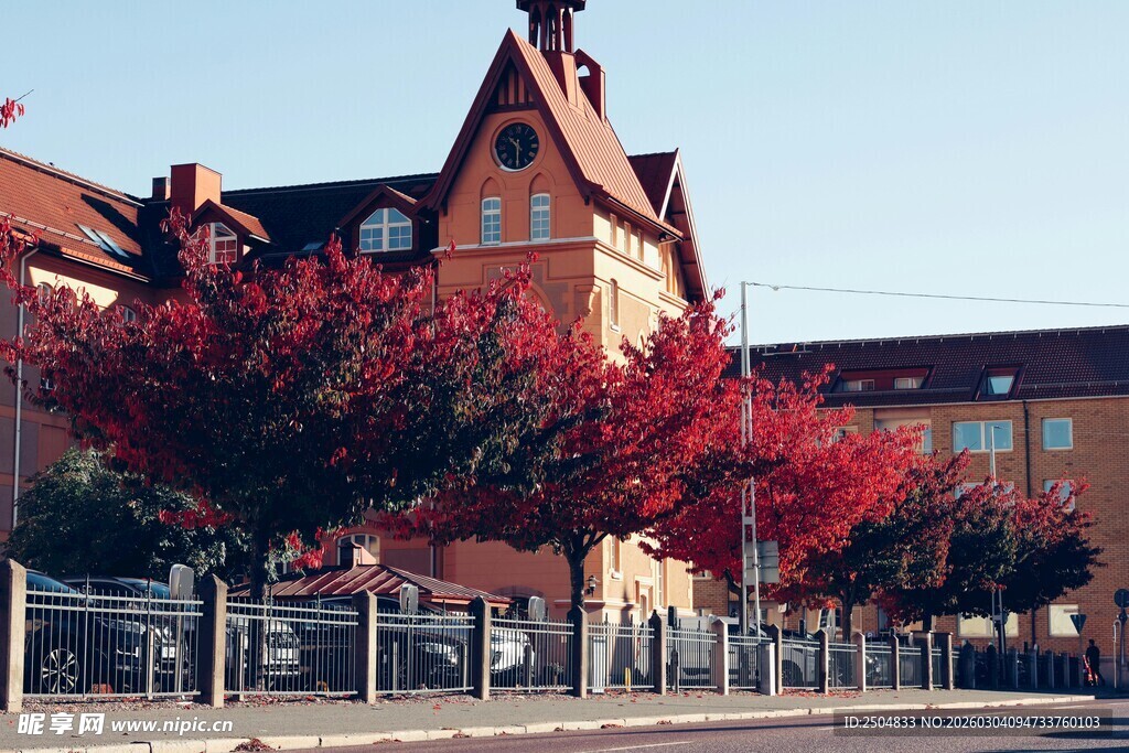 秋日红枫映衬下的欧式建筑
