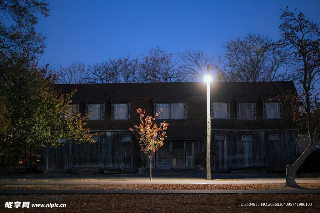 夜晚校园建筑旁的路灯