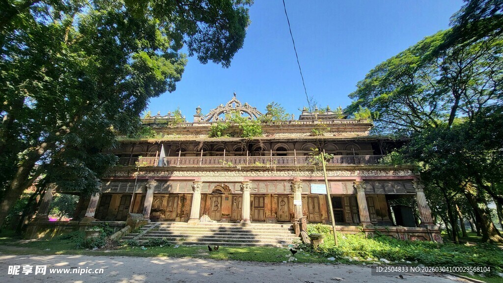 古朴木屋隐于葱郁树林间