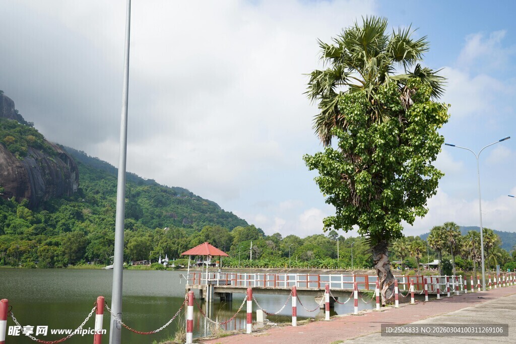 湖畔绿树旁的静谧码头