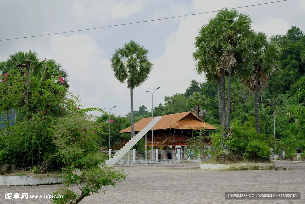 户外凉亭旁的葱郁棕榈树