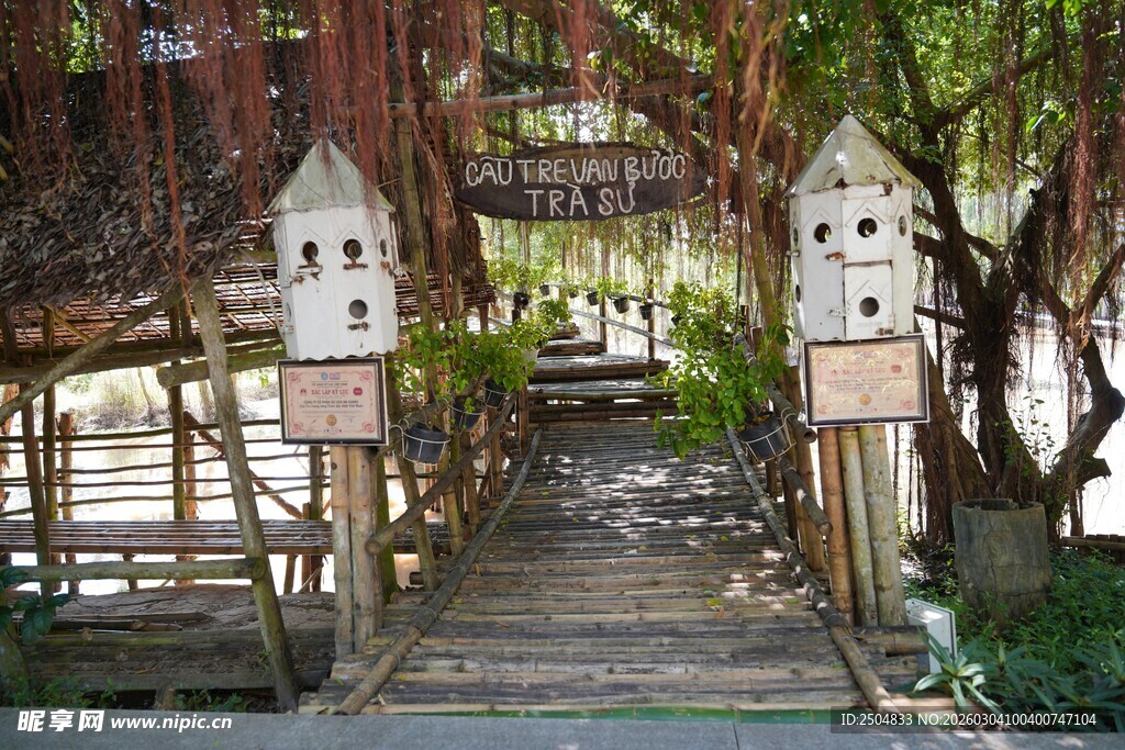 林间小径上的可爱鸟舍