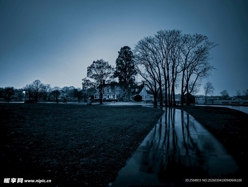 暗夜树影下的静谧积水路面