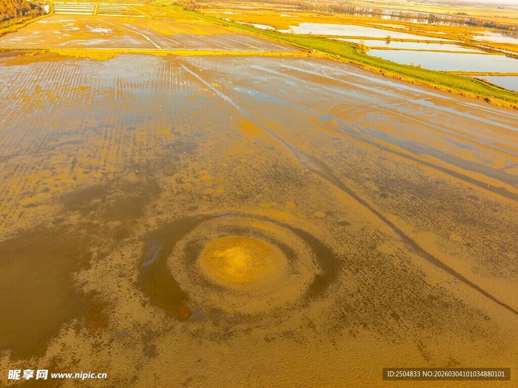 地面水坑中的圆形涟漪