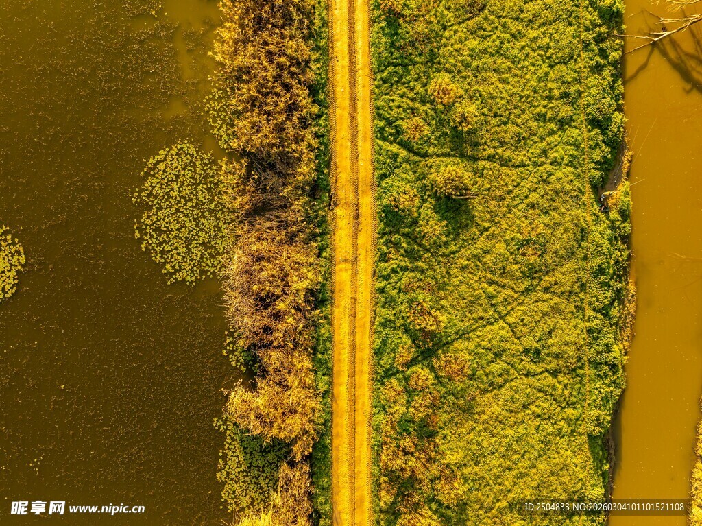 俯瞰田园间的翠绿小径