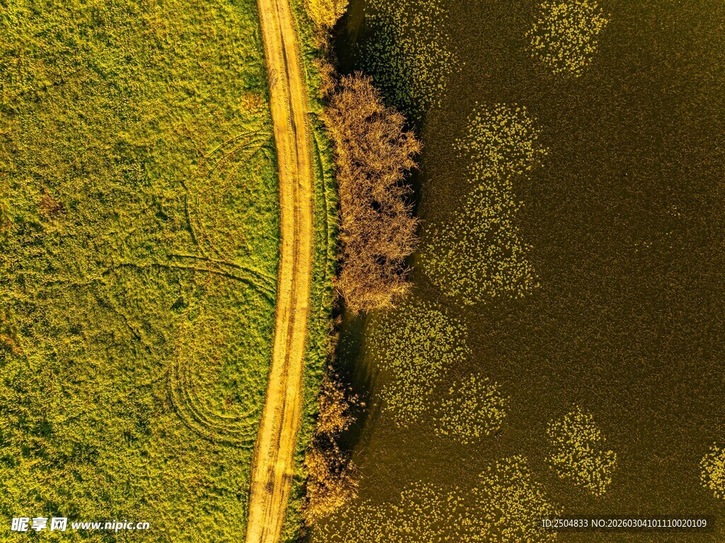 空中俯瞰绿色田野与水域