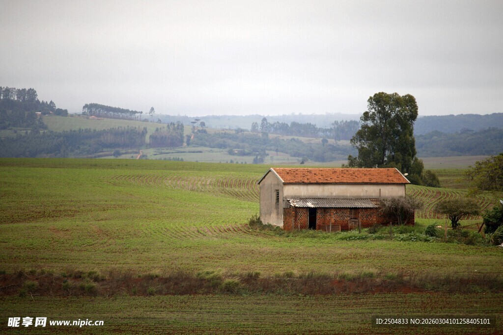 田野中的孤独小屋