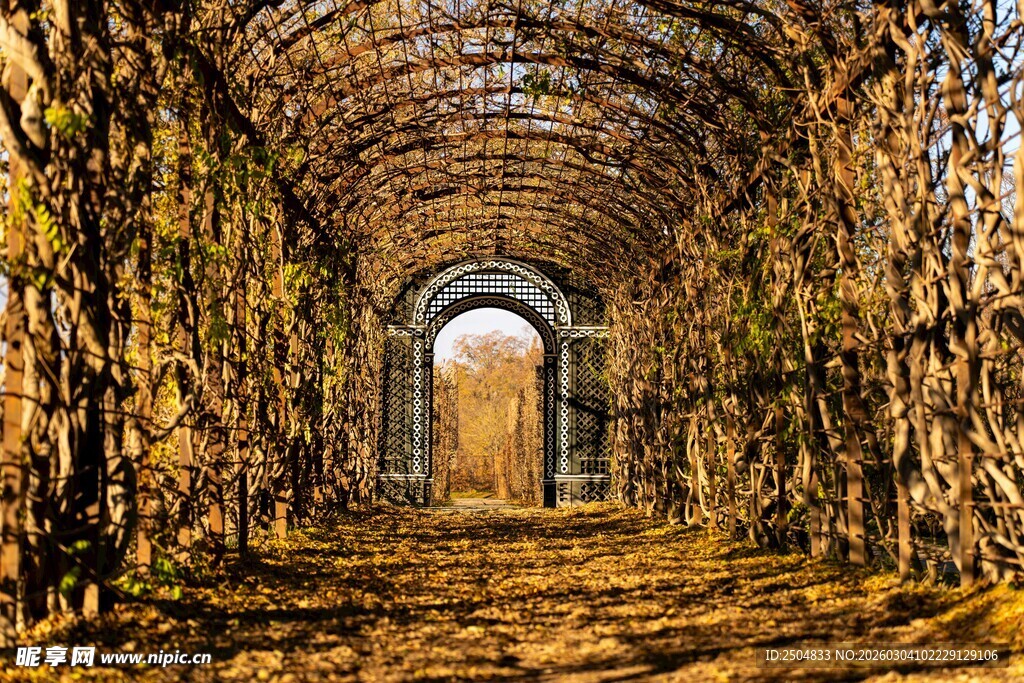 秋日梦幻隧道美景
