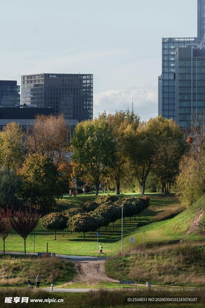 城市中的绿意公园景观