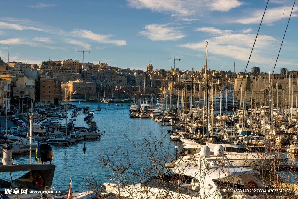 海港停泊的众多船只景观