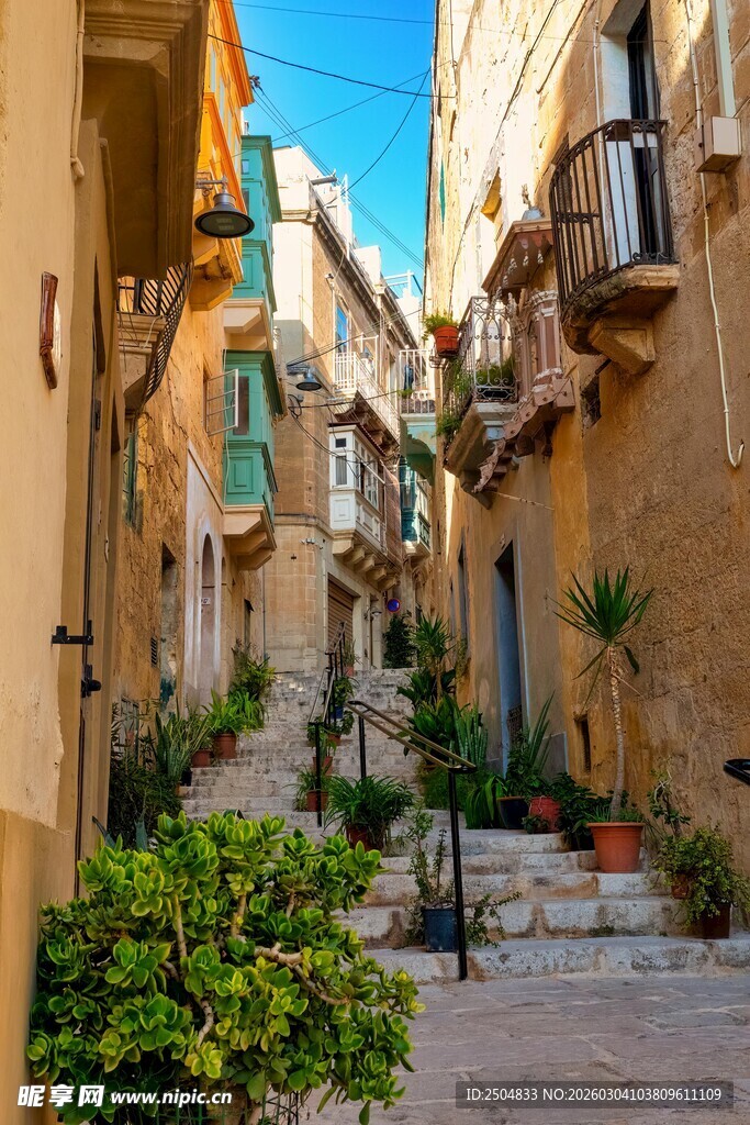 狭窄小巷中的绿植与建筑