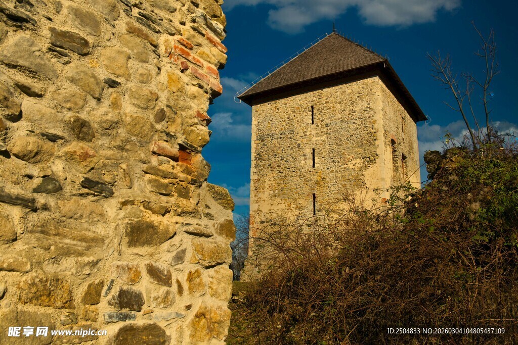 古老石建筑与塔楼景观