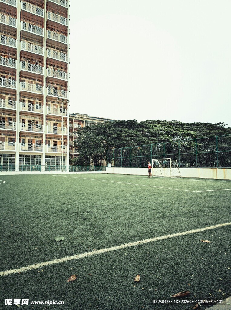 校园足球场与教学楼