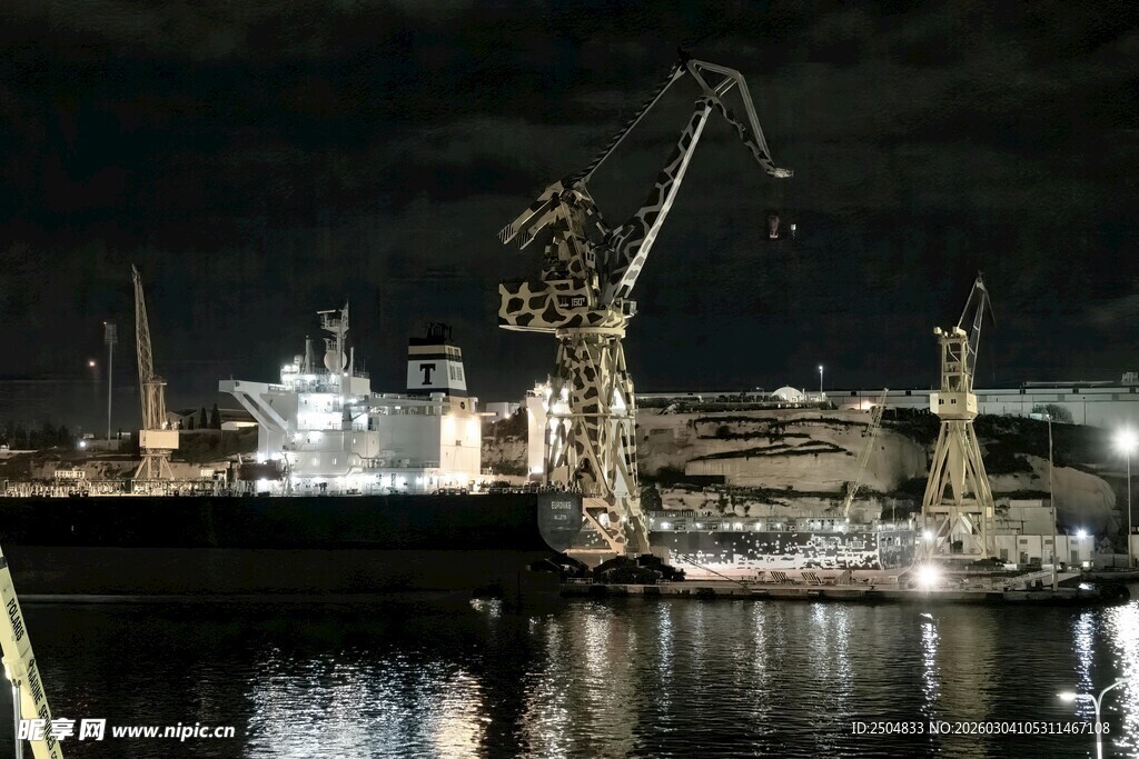 港口夜景中的起重机与船舶