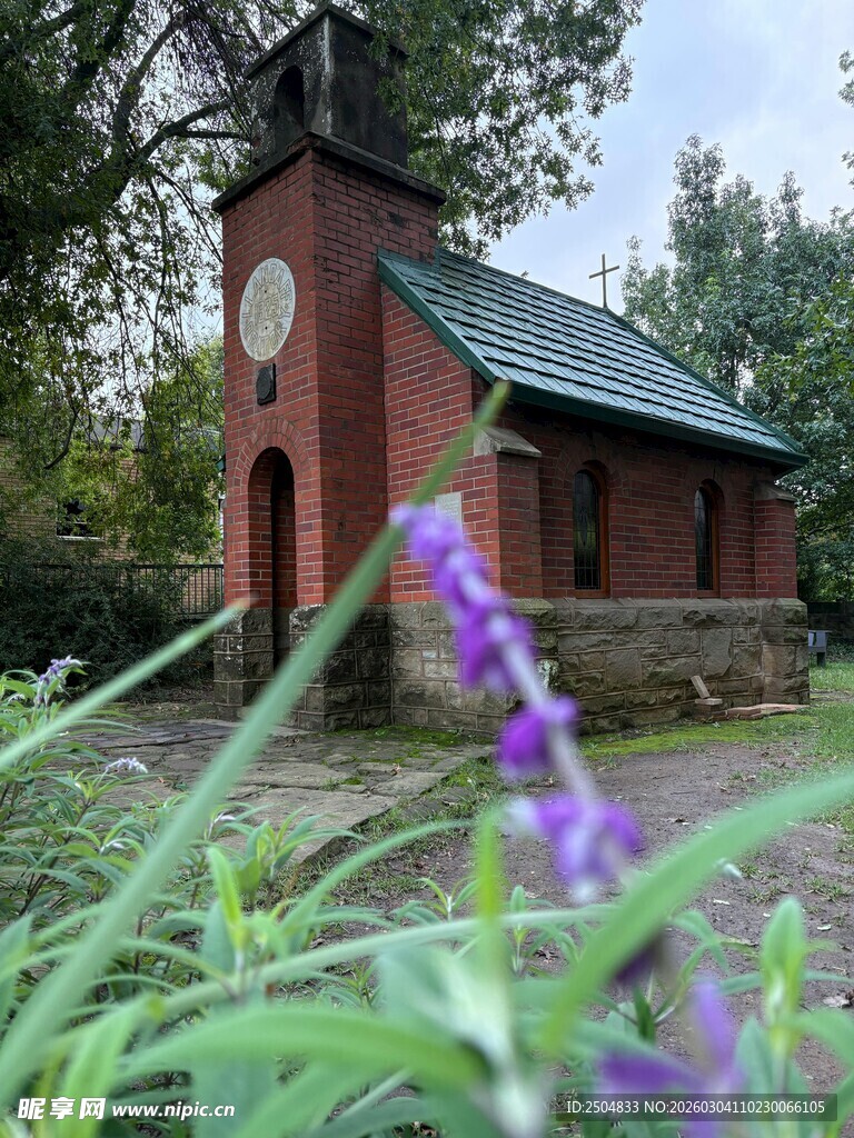 红砖小屋旁的紫色花卉