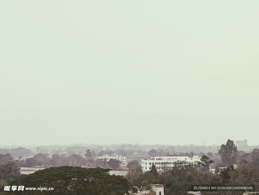 城市远景中的绿树景观