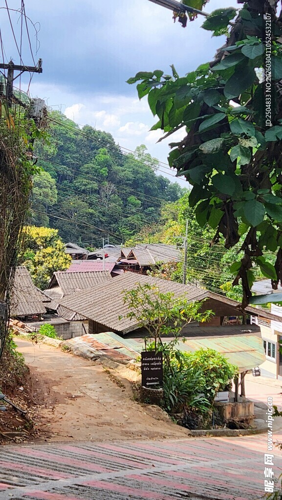 乡村泥泞小路自然景致