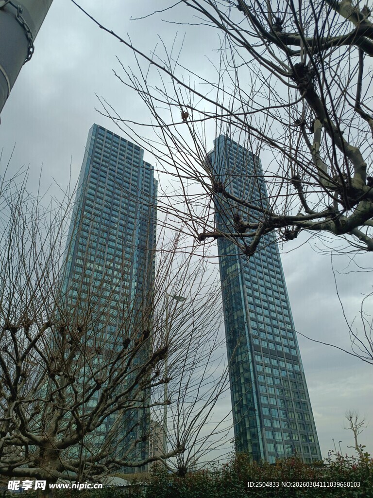 城市高楼与光秃树木景观