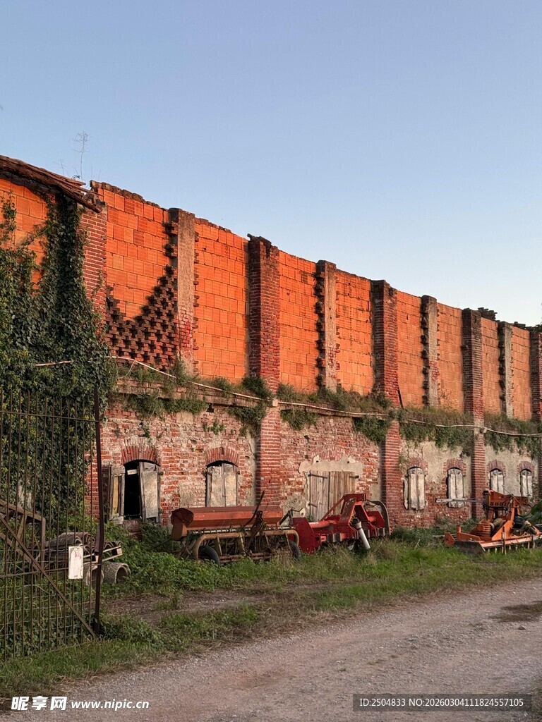 废弃墙边的荒芜景象